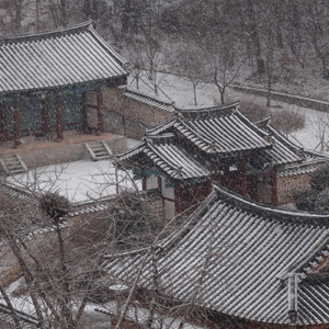 조선 시대 여성들의 삶과 이야기