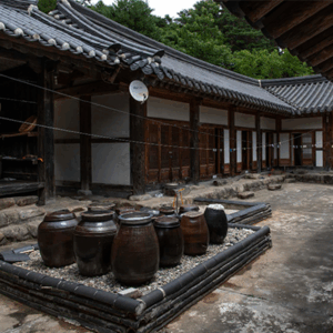 조선 시대 여성들의 삶과 이야기