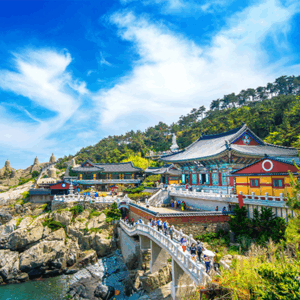 고려 시대의 위기 극복 전략