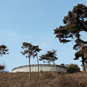고구려 문화의 특징과 고분벽화