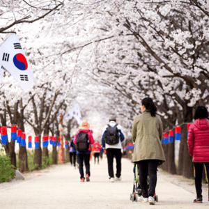신라 멸망의 원인: 찬란했던 통일 신라의 그림자, 몰락의 과정