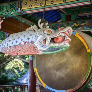 조선 초기 과거제도의 변화와 사회적 영향