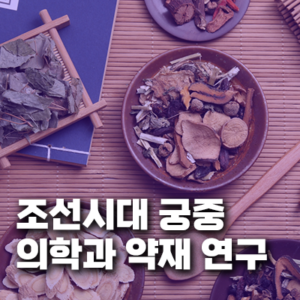 조선시대 궁중 의학과 약재 연구 - 왕실 의료 체계와 의서, 약초 사용 실태 고찰